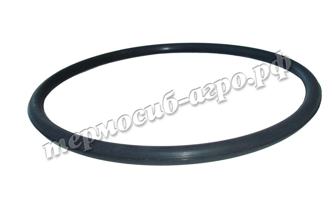 Кольцо Г2-ОПБ (уплотнение корпуса)